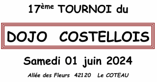 Image de l'actu '17 eme TOURNOI DU DOJO COSTELLOIS 1/06/2024'