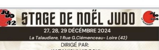 Image de l'actu 'STAGE DE NOEL JUDO'